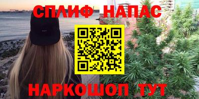трава Новодвинск
