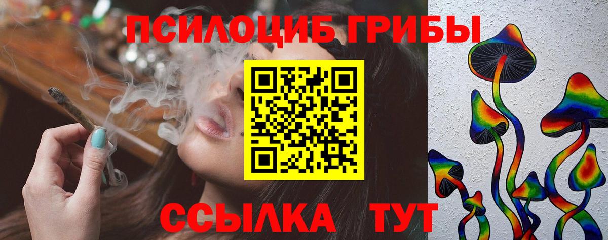 Подольск  Псилоцибиновые грибы мухоморы  Вход с VPN  Галлюциногенные грибы прущие грибы 